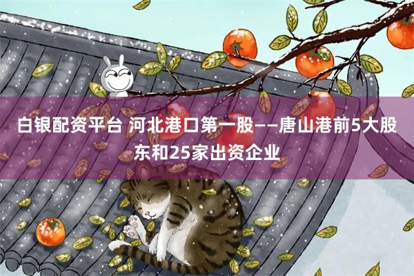 白银配资平台 河北港口第一股——唐山港前5大股东和25家出资企业