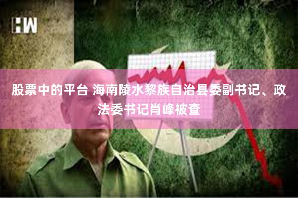 股票中的平台 海南陵水黎族自治县委副书记、政法委书记肖峰被查