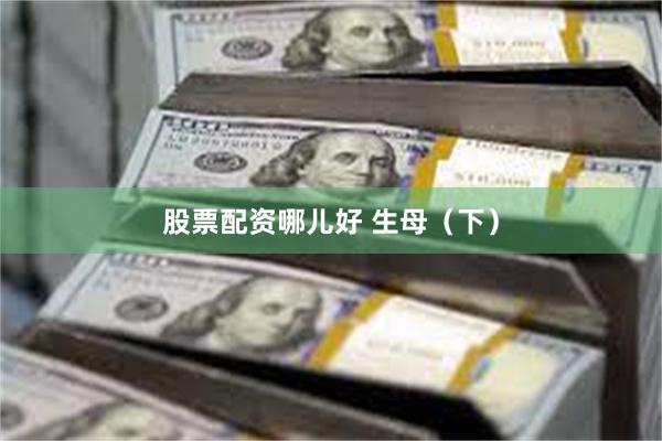 股票配资哪儿好 生母（下）