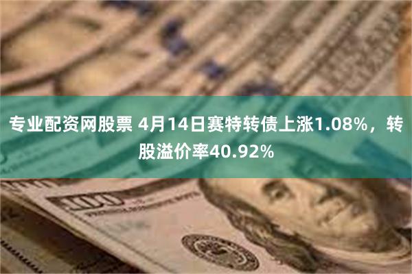 专业配资网股票 4月14日赛特转债上涨1.08%，转股溢价率40.92%