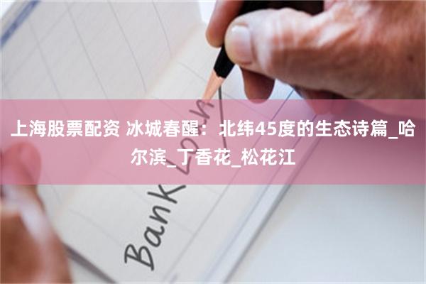 上海股票配资 冰城春醒：北纬45度的生态诗篇_哈尔滨_丁香花_松花江