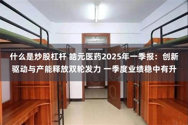 什么是炒股杠杆 皓元医药2025年一季报：创新驱动与产能释放双轮发力 一季度业绩稳中有升