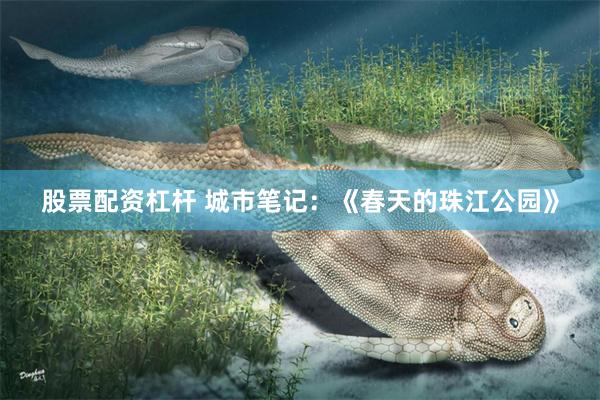 股票配资杠杆 城市笔记：《春天的珠江公园》