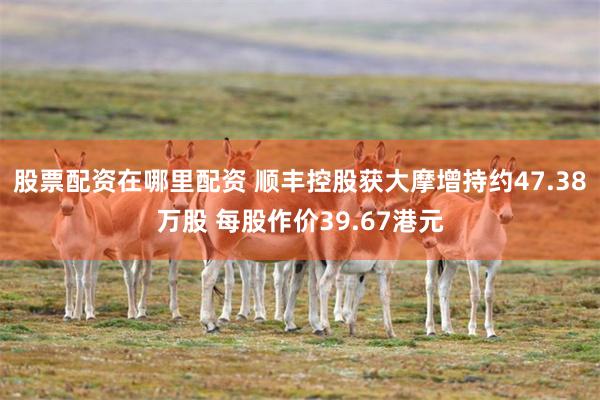 股票配资在哪里配资 顺丰控股获大摩增持约47.38万股 每股作价39.67港元