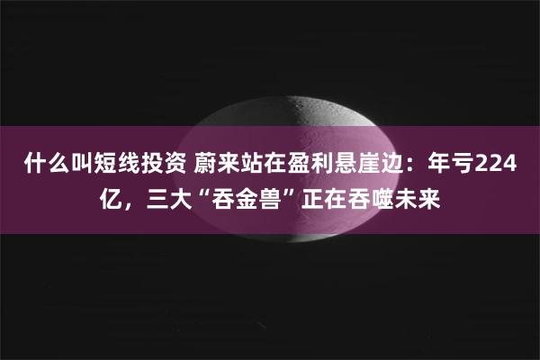 什么叫短线投资 蔚来站在盈利悬崖边：年亏224亿，三大“吞金兽”正在吞噬未来