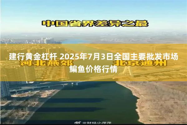 建行黄金杠杆 2025年7月3日全国主要批发市场鳊鱼价格行情