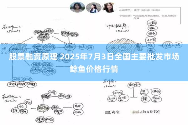 股票融资原理 2025年7月3日全国主要批发市场鲶鱼价格行情