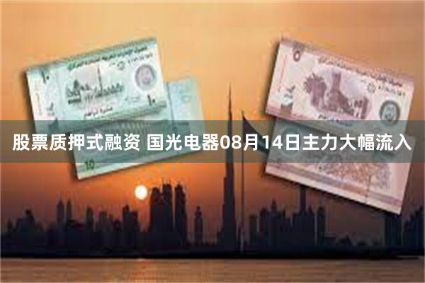 股票质押式融资 国光电器08月14日主力大幅流入