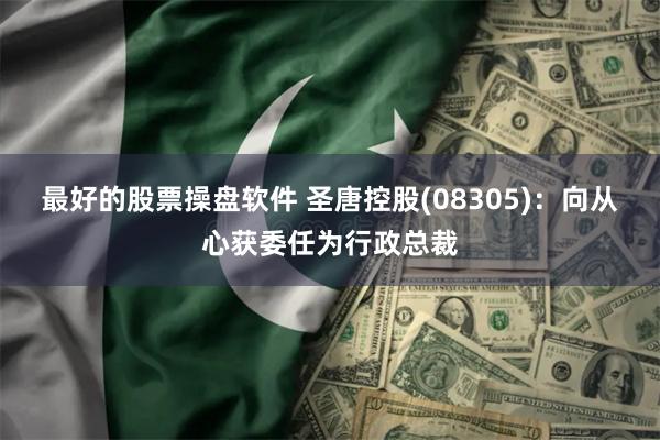 最好的股票操盘软件 圣唐控股(08305):向从心获委任为行政总裁