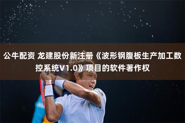 公牛配资 龙建股份新注册《波形钢腹板生产加工数控系统V1.0》项目的软件著作权