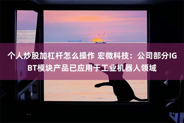 个人炒股加杠杆怎么操作 宏微科技：公司部分IGBT模块产品已应用于工业机器人领域