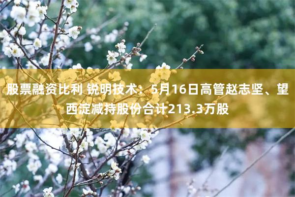 股票融资比利 锐明技术：5月16日高管赵志坚、望西淀减持股份合计213.3万股