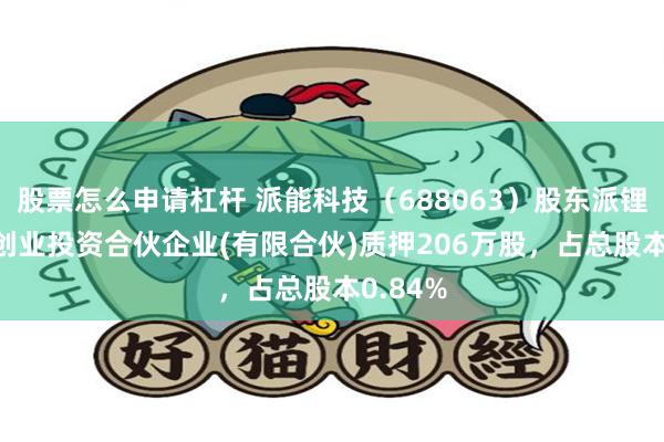 股票怎么申请杠杆 派能科技（688063）股东派锂(宁波)创业投资合伙企业(有限合伙)质押206万股，占总股本0.84%