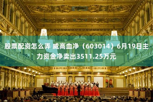 股票配资怎么弄 威高血净（603014）6月19日主力资金净卖出3511.25万元