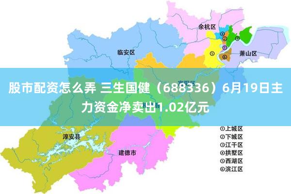 股市配资怎么弄 三生国健（688336）6月19日主力资金净卖出1.02亿元
