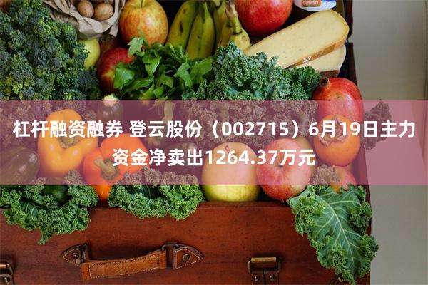 杠杆融资融券 登云股份（002715）6月19日主力资金净卖出1264.37万元