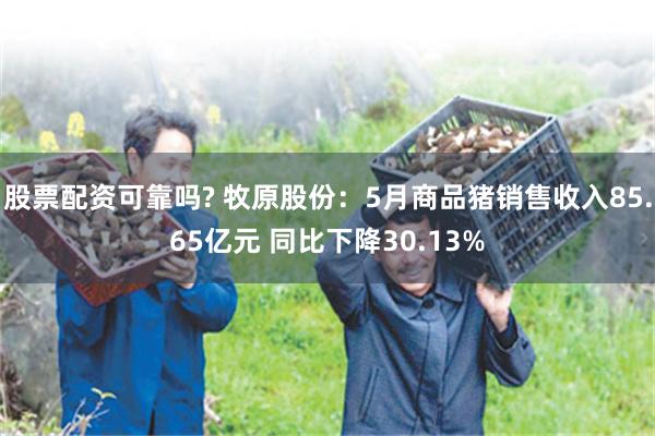 股票配资可靠吗? 牧原股份：5月商品猪销售收入85.65亿元 同比下降30.13%