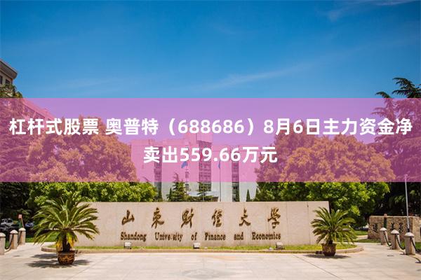 杠杆式股票 奥普特（688686）8月6日主力资金净卖出559.66万元