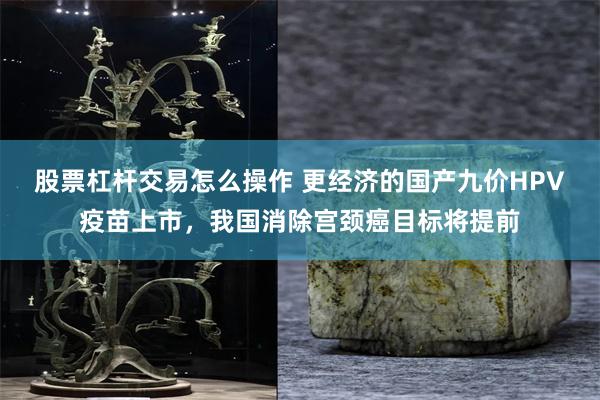 股票杠杆交易怎么操作 更经济的国产九价HPV疫苗上市，我国消除宫颈癌目标将提前