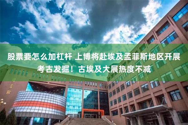 股票要怎么加杠杆 上博将赴埃及孟菲斯地区开展考古发掘！古埃及大展热度不减