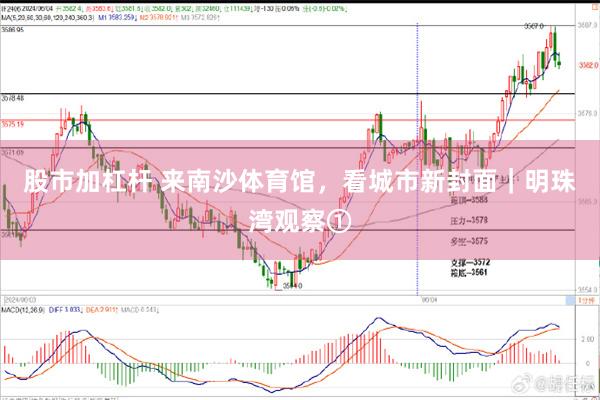 股市加杠杆 来南沙体育馆，看城市新封面｜明珠湾观察①