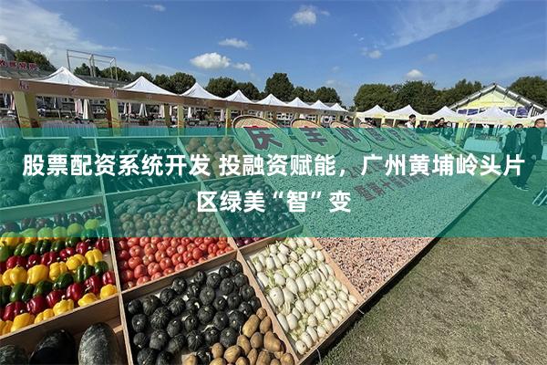 股票配资系统开发 投融资赋能，广州黄埔岭头片区绿美“智”变