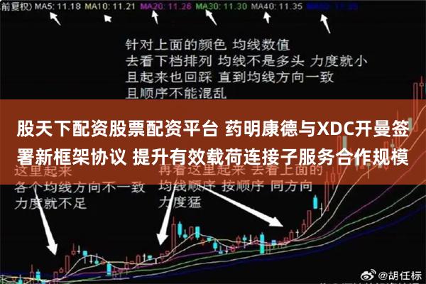 股天下配资股票配资平台 药明康德与XDC开曼签署新框架协议 提升有效载荷连接子服务合作规模
