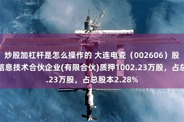 炒股加杠杆是怎么操作的 大连电瓷（002606）股东杭州锐奇信息技术合伙企业(有限合伙)质押1002.23万股，占总股本2.28%