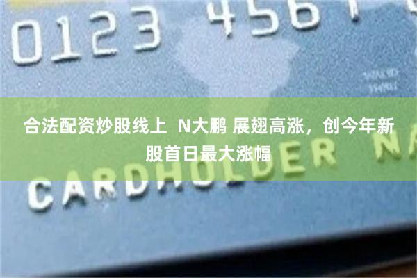 合法配资炒股线上  N大鹏 展翅高涨，创今年新股首日最大涨幅