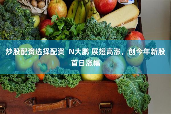 炒股配资选择配资  N大鹏 展翅高涨，创今年新股首日涨幅