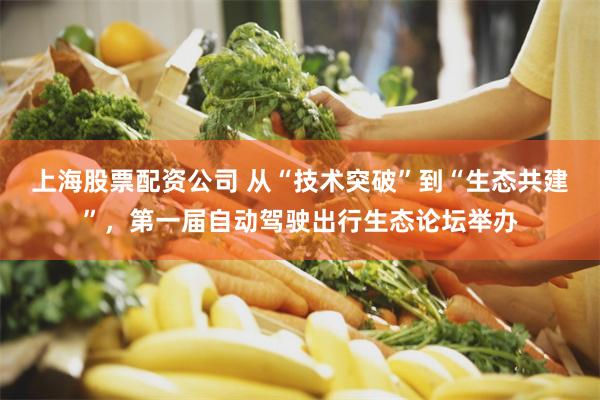 上海股票配资公司 从“技术突破”到“生态共建”，第一届自动驾驶出行生态论坛举办