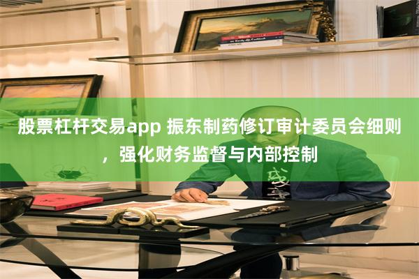股票杠杆交易app 振东制药修订审计委员会细则，强化财务监督与内部控制