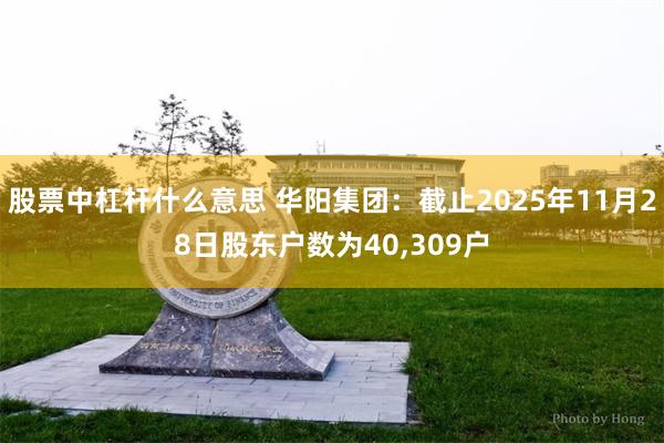 股票中杠杆什么意思 华阳集团：截止2025年11月28日股东户数为40,309户
