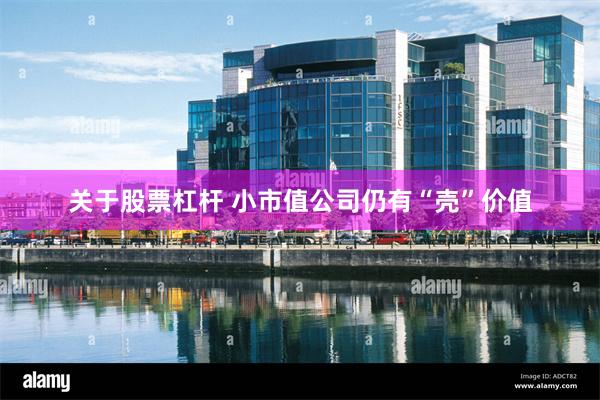 关于股票杠杆 小市值公司仍有“壳”价值