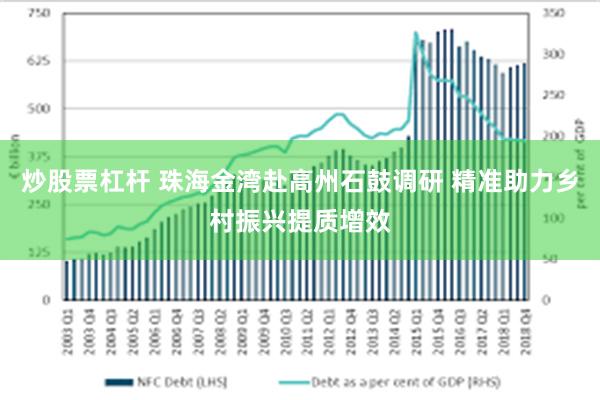 炒股票杠杆 珠海金湾赴高州石鼓调研 精准助力乡村振兴提质增效