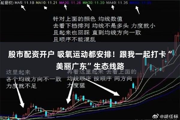 股市配资开户 吸氧运动都安排！跟我一起打卡“美丽广东”生态线路