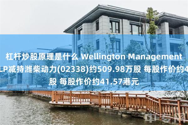 杠杆炒股原理是什么 Wellington Management Group LLP减持潍柴动力(02338)约509.98万股 每股作价约41.57港元