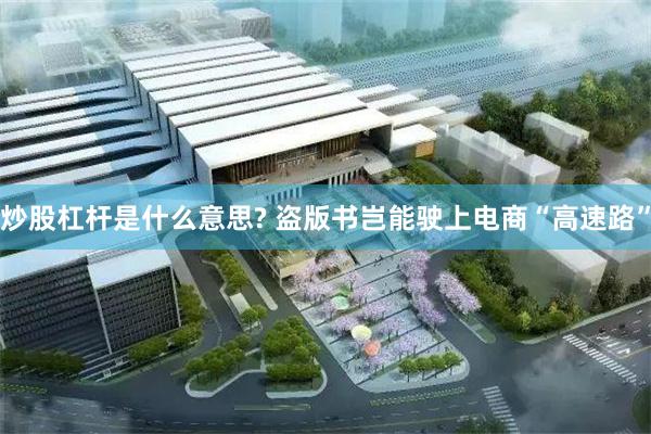 炒股杠杆是什么意思? 盗版书岂能驶上电商“高速路”