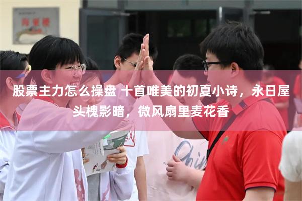 股票主力怎么操盘 十首唯美的初夏小诗，永日屋头槐影暗，微风扇里麦花香