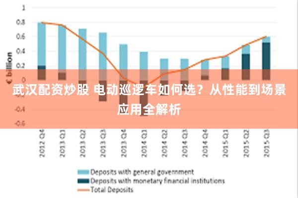 武汉配资炒股 电动巡逻车如何选？从性能到场景应用全解析