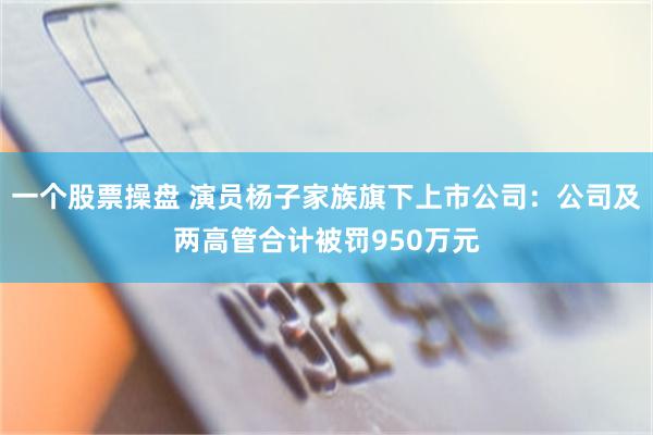 一个股票操盘 演员杨子家族旗下上市公司：公司及两高管合计被罚950万元