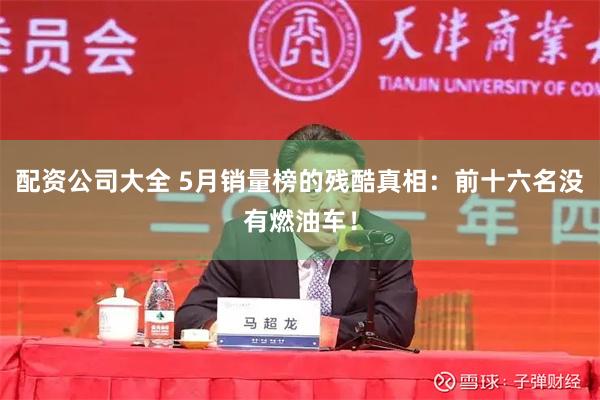 配资公司大全 5月销量榜的残酷真相：前十六名没有燃油车！
