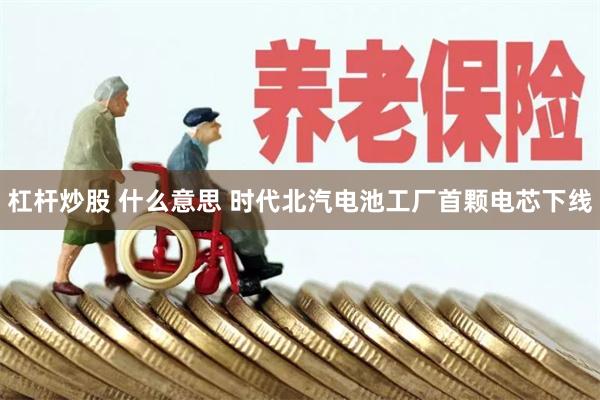 杠杆炒股 什么意思 时代北汽电池工厂首颗电芯下线