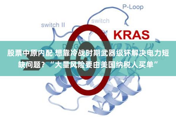 股票中原内配 想靠冷战时期武器级钚解决电力短缺问题？“大量风险要由美国纳税人买单”