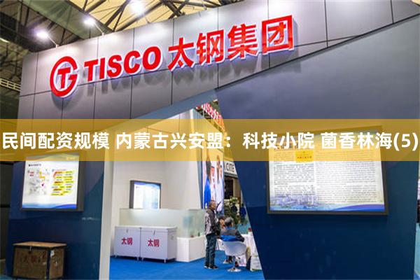 民间配资规模 内蒙古兴安盟：科技小院 菌香林海(5)