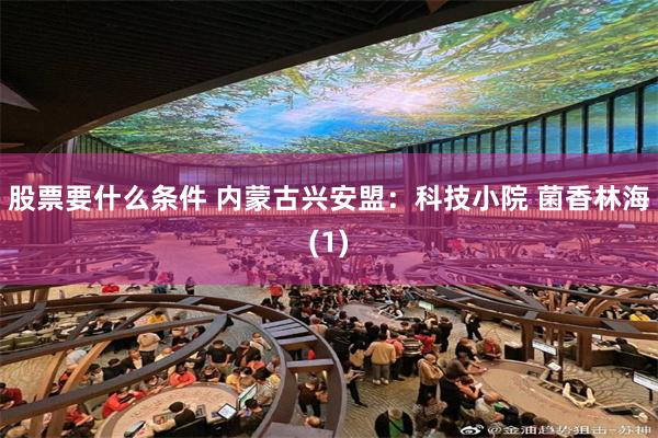 股票要什么条件 内蒙古兴安盟:科技小院 菌香林海(1)