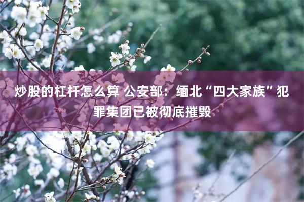 炒股的杠杆怎么算 公安部：缅北“四大家族”犯罪集团已被彻底摧毁
