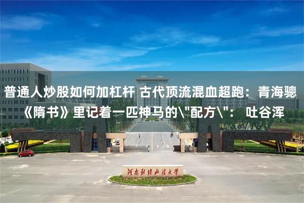 普通人炒股如何加杠杆 古代顶流混血超跑：青海骢 《隋书》里记着一匹神马的