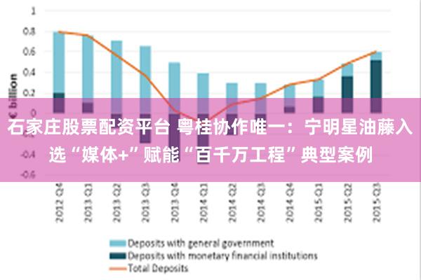 石家庄股票配资平台 粤桂协作唯一：宁明星油藤入选“媒体+”赋能“百千万工程”典型案例