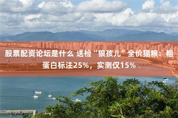 股票配资论坛是什么 送检“狼孩儿”全价猫粮：粗蛋白标注25%，实测仅15%